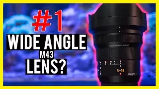 Leica 8-18mm Lens Review