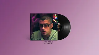 Es Panita (ft. Bad Bunny) [Callaita Funk Merengue mix]