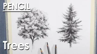 How to Draw Trees | Sketching techniques | Walnut and Pine Tree Pencil Drawing