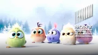 The Angry Birds Movie – Happy Christmas from the Hatchlings! Now Available on Digital Download