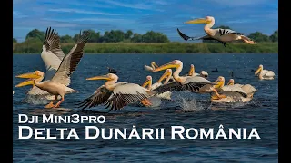DJI Mini3Pro Delta Dunarii 2023, Romania, 4K #drone #dji #djimini3pro