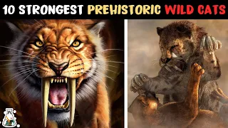 10 Most Powerful Prehistoric Wild Cats