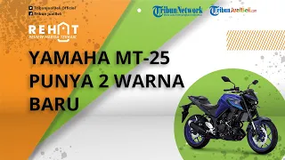 REHAT: Makin Seger! Yamaha MT-25 Punya 2 Warna Baru, Cek Harga OTR Jakarta