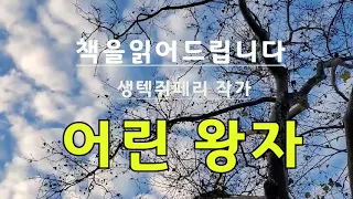 [세계명작오디오북] 어린 왕자 / 앙투안 드 생텍쥐페리 / 어린왕자를 통해 바라본 현대인의 삶 . 편견, 쓸데없는 고집, 허황된 것에 매달려있는 어른들의 모습을 드러내고 있다.