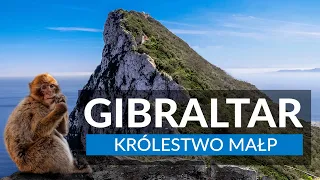 GIBRALTAR - Królestwo małp | Zwiedzanie Gibraltaru w jeden dzień | Atrakcje Skały Gibraltarskiej