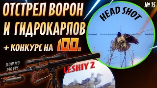 Отстрел Ворон и Мартынов с PCP Леший  2. № 15. Crow Hunting 2023. Кроухантинг. Jack Hunter.