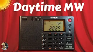 Tecsun PL-380 Shortwave Portable Radio Daytime MW