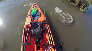 Sight Fishing for Redfish in Grand Isle, LA