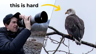 The REALITY of Wildlife Photography as a Beginner // Photographing Bald Eagles in Washington