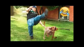 Funny Dogs And Cats Videos 2024 😅 - Best Funniest Animal Videos Of The week - min pets family #40