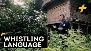 Indigenous Whistle Language In Mexico