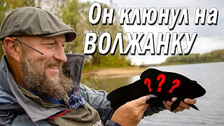 Фидер на реке. Отличный улов осенью!