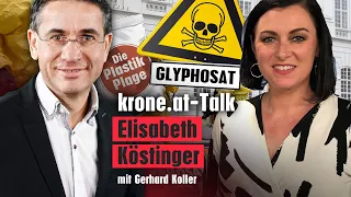 „Ohne Grüne im Parlament ist viel weitergegangen“ | krone.at News-Talk