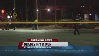 Pedestrian killed in hit-and-run