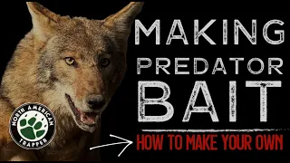 How to make a Predator Bait for Coyote, Fox & Bobcat