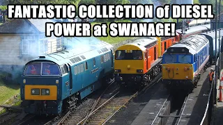 FANTASTIC diesel locomotives IN ACTION at the Swanage Diesel Gala