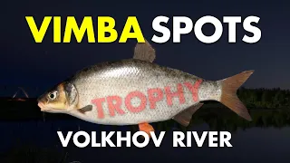 Russian Fishing 4 TROPHY VIMBA SPOT Volkhov River