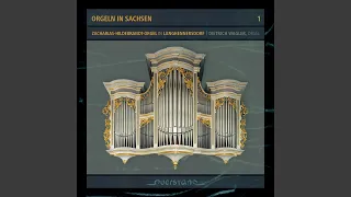 Aus dem Apparatus musico-organisticus (1690) : Toccata secunda (Teil: 1)