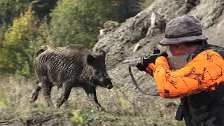 Malatya'da Efsane bir Domuz Avı / wild boar hunting Malatya - TÜRKİYE