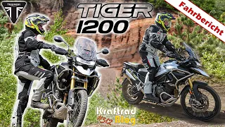 Ein Tag Triumph Tiger 1200 (Modell 2022) beim Triumph Media Day 2022