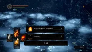 DS1 SL1 Seath the Scaleless flawless soul level one challenge