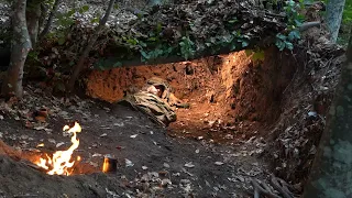 Wild camp in the forest. Excavated a natural shelter at a large tree root. Sleeping under the ground