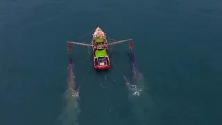 Fishing Trawler In The Gulf   No Catch