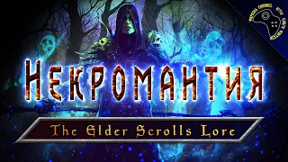 💀 НЕКРОМАНТИЯ ВО ВСЕЛЕННОЙ ДРЕВНИХ СВИТКОВ ► THE ELDER SCROLLS LORE 💀