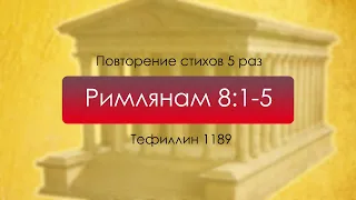 Тефиллин. Римлянам 8:1-5. Повторение стихов 5 раз