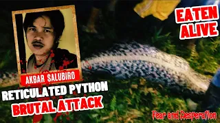 Terrifying Attack by Giant Python: The Tragic Death of Akbar Salubiro