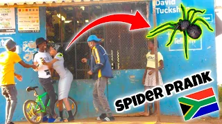 SPIDER PRANK 🕷️ IN SOUTH AFRICA 🇿🇦🔥 [Kasi Edition] | HAROLD P15