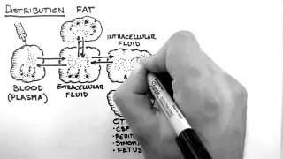 Pharmacokinetics 3 - Distribution