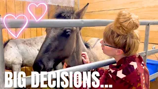 Did We REALLY find the RIGHT Weanling? Get READY for a Heartwarming Horse Auction