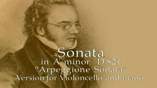 Schubert - Sonata en A-minor, Arpeggione, D821 - Miklós Perényi, cello - András Schiff, piano (HD)