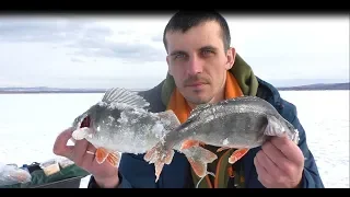 рыбалка на Берёзовском  водохранилище,крупный окунь и плотва