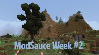 Mod Sauce Week 2: The Door To Adventure!