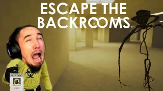 Running From Mr  Squiggles  |  Escape the Backroom Pt1