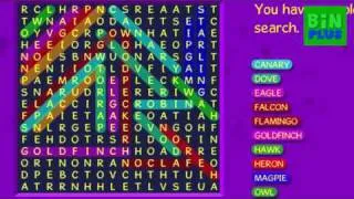 Bin Weevils TYPES OF BIRDS Wordsearch Answers