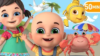 Beach Song | Lets learn Sea Animals! |  More Nursery Rhymes & Baby songs | Kids Cartoon - Jugnu Kids