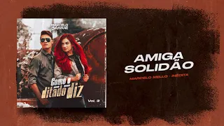 Marcelo e Rayane - Amiga Solidão Vol.03