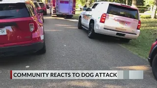 Deadly pit bull attack raises safety concerns