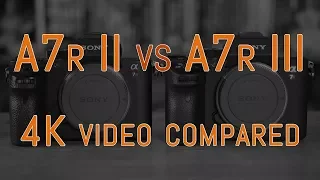 Sony A7r II vs A7r III - 4K Video Comparison