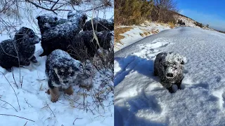 "Mom, I'm so cold." They were shivering in the heavy snow and called desperately to their mother