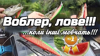 ВОБЛЕР, ЯКИЙ ЛОВЕ, КОЛИ ІНШІ МОВЧАТЬ!!!