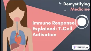 Immune Response Explained: T-Cell Activation