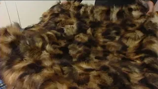 LA City Council approves drafting ordinance to ban fur sales | ABC7
