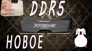 Оперативная память DDR5 | DDR4 vs DDR5 | Замена памяти