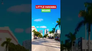 Miami Florida | Driving Little Havana 🏁🚘🔥 #drivingdowntown