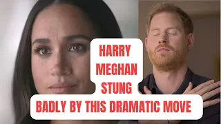 HARRY MEGHAN STUNG BADLY BY THIS ..LATEST NEWS #breakingnews #meghanmarkle #meghanmarkle