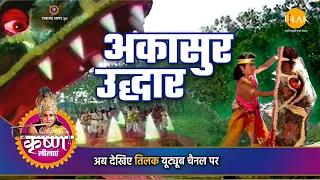 श्री कृष्ण लीला | अकासुर उद्धार